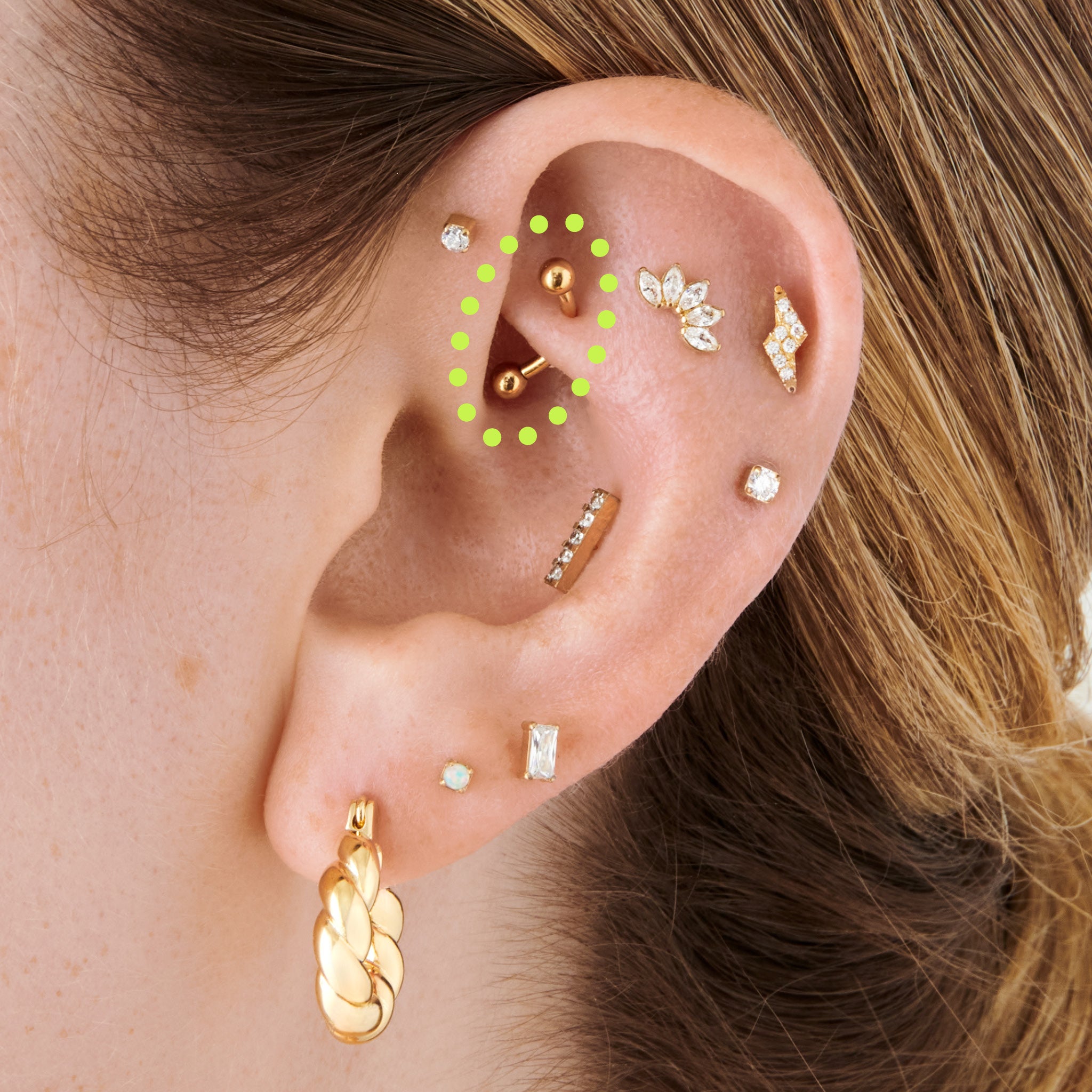Curved Barbell - STUDS